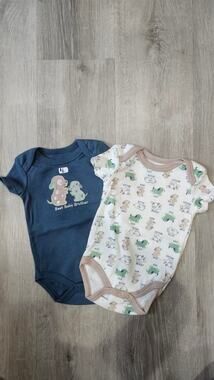 Duck Duck Goose 3-6 Month Infant Baby Clothes Body Suit 2 Pack Bundle